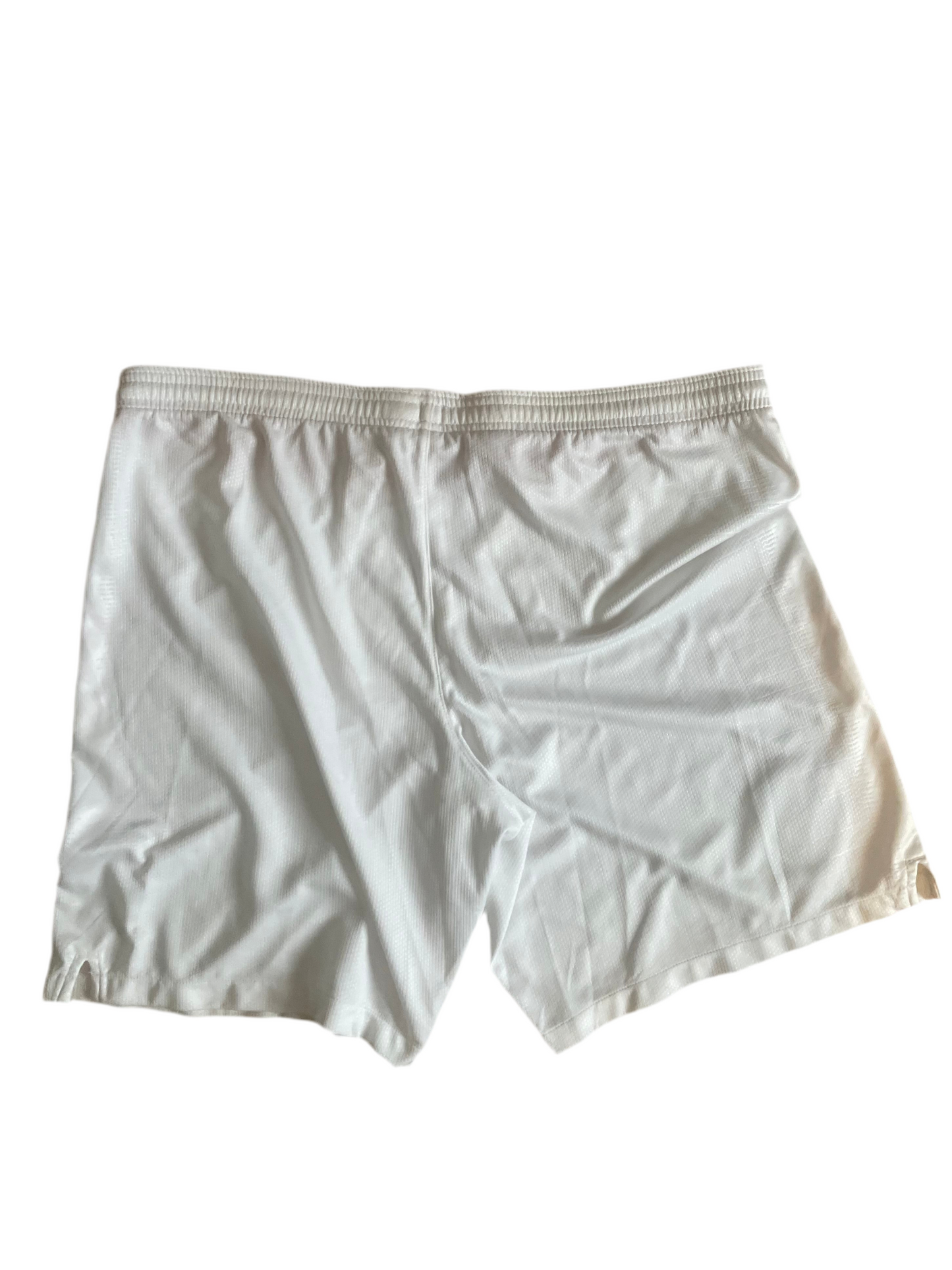 2014 Nike Croatia Shorts (M)